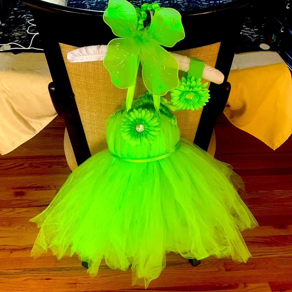 Tinker Bell Halloween custom made costume. Originally bought from Etsy.